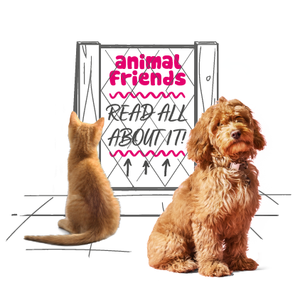 animal friends referral